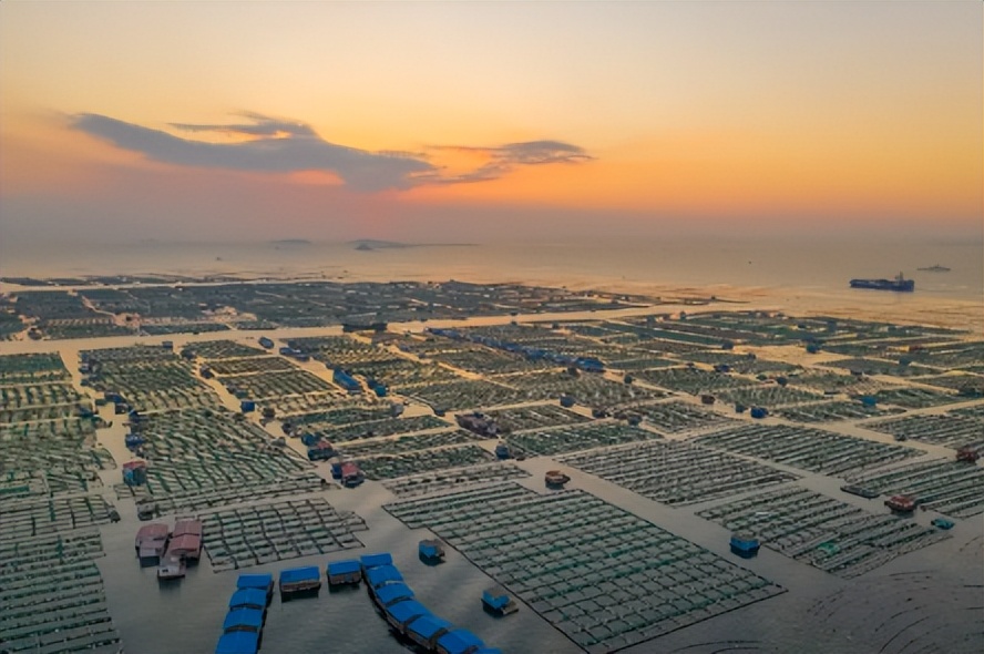 即食海参的加工方法谁知道,即食海参详情