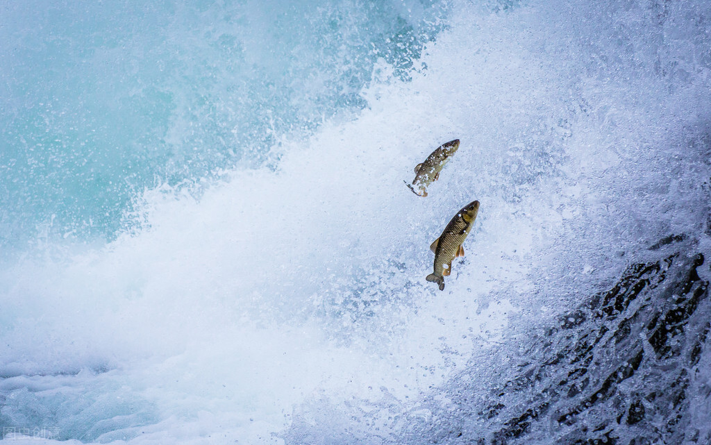 想成为一个优秀的人最关键是什么,你想成为什么样的人就要为之努力