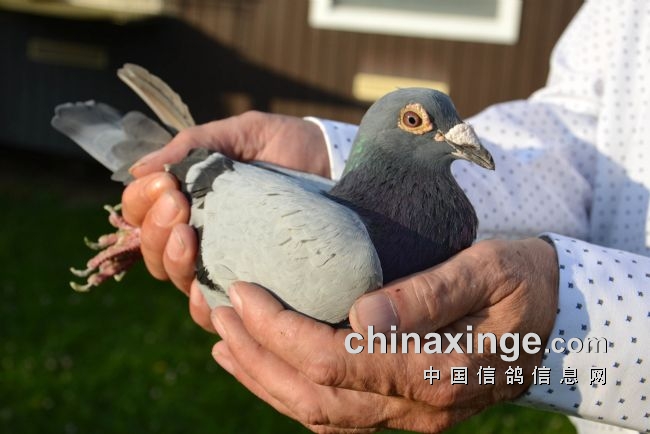 万里挑一的获奖者图片,万里挑一比赛视频