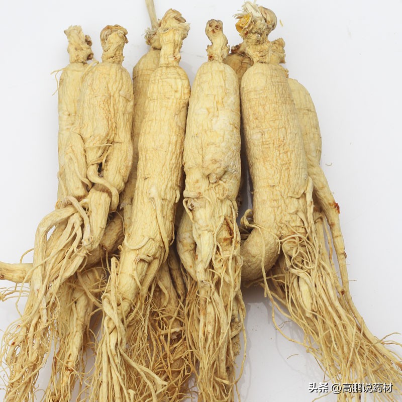 高鹏说药材:太子参、人参、柴胡、蛇床子、蒺藜等近期行情简析