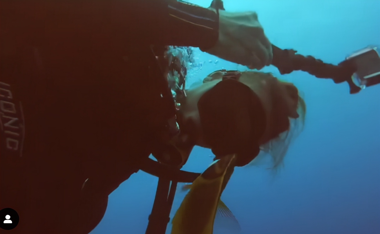 国外美女姐姐海里偶遇一只小鱼，竟引发神奇友谊！网友：前世情人