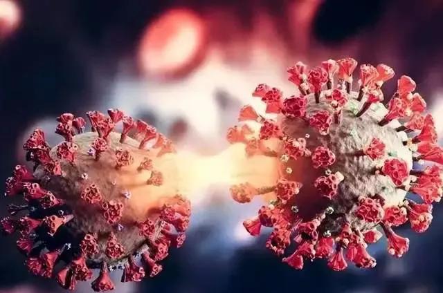 XBB.1.5毒株几乎以每周翻倍的速度攻占美国，国内蒙脱石散要脱销