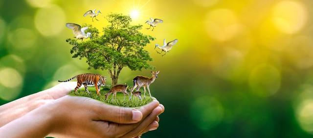 面包夹知识,面包夹心冷知识