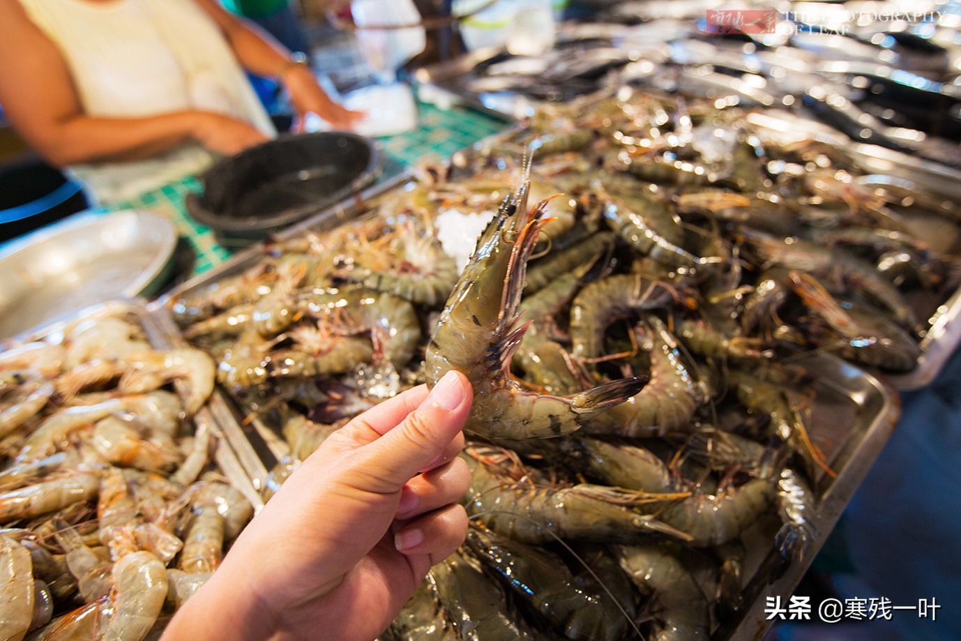 东南亚旅游物价低的地方,东南亚深山里物价