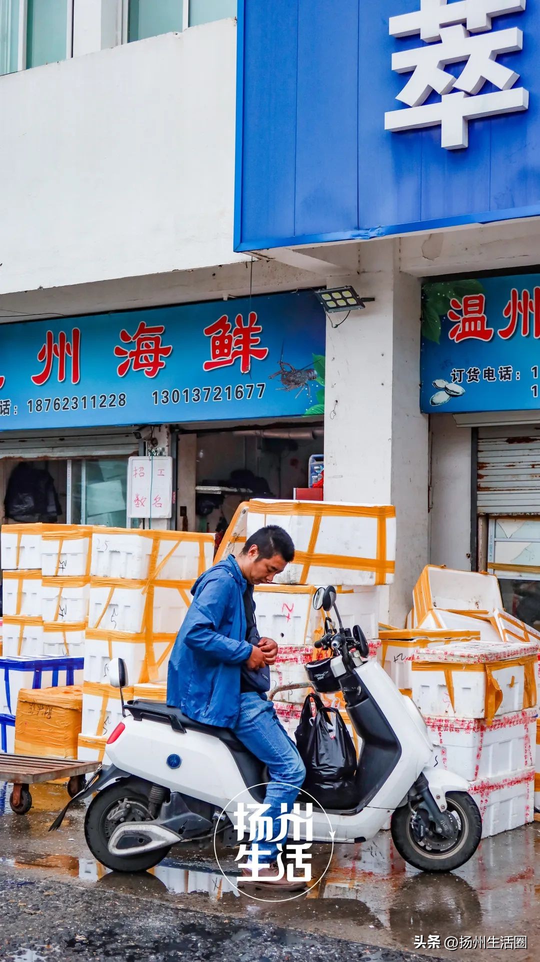 不吃一顿螃蟹，扬州人过不好这个秋天