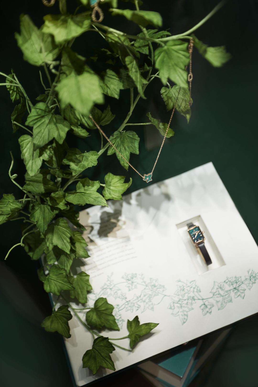 lolarose旗舰店新款手表,lolarose手表昆明专柜有没有