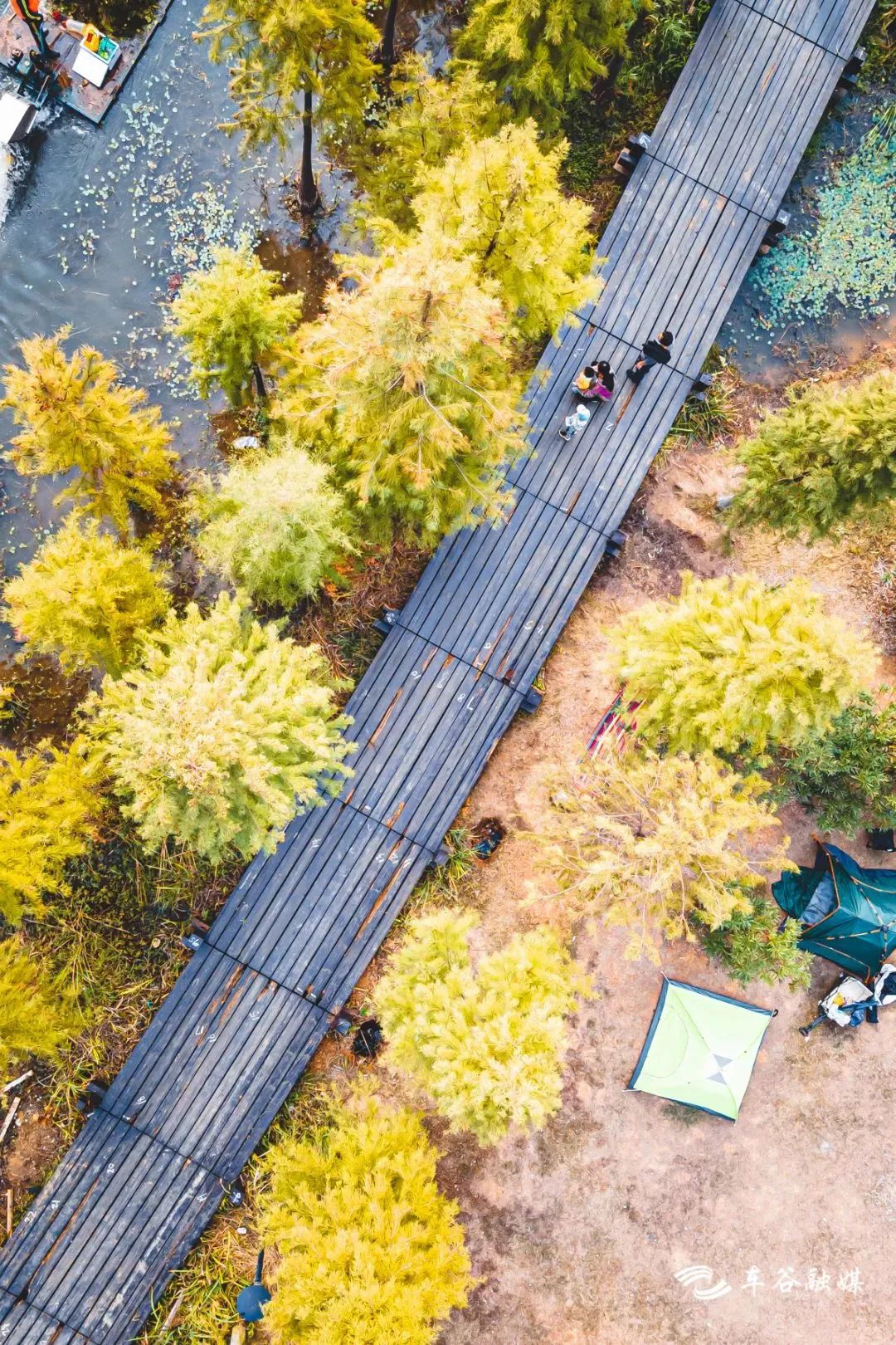 淘金山骑行绿道和东湖骑行绿道,周末绿道骑行一路都是美景