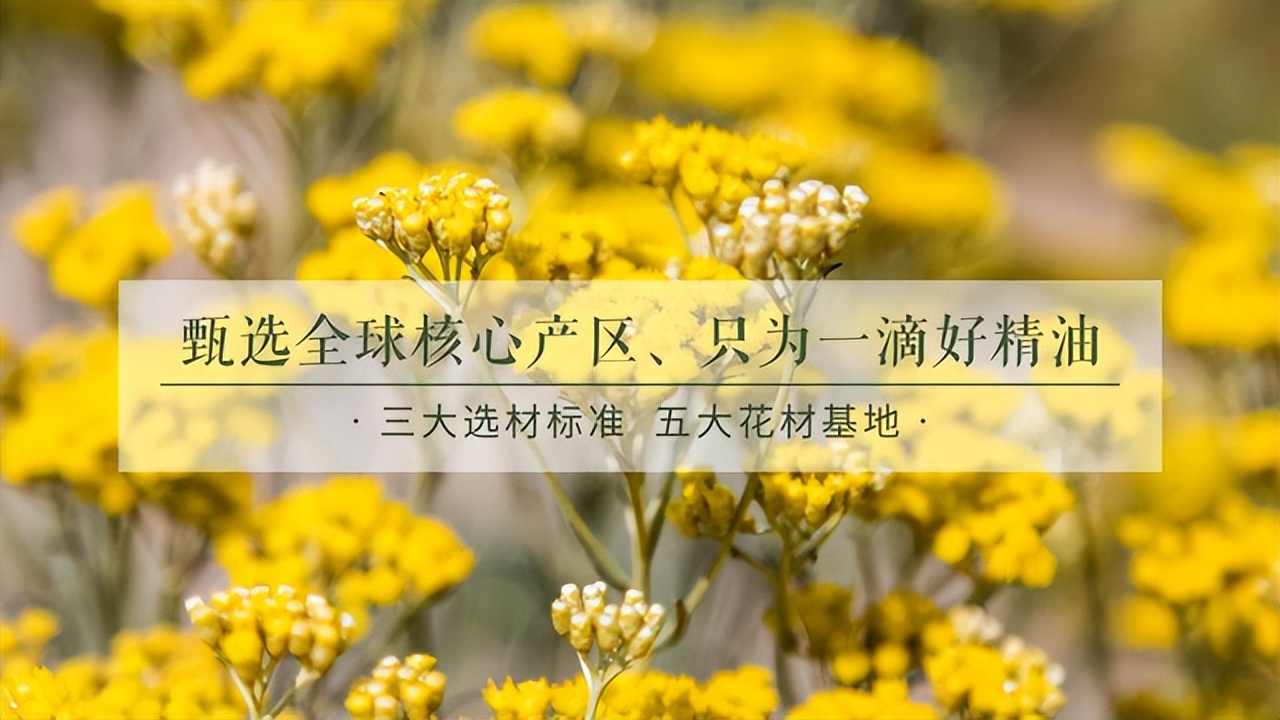 美容店加盟哪个好？佰草智慧加盟确保创业无忧