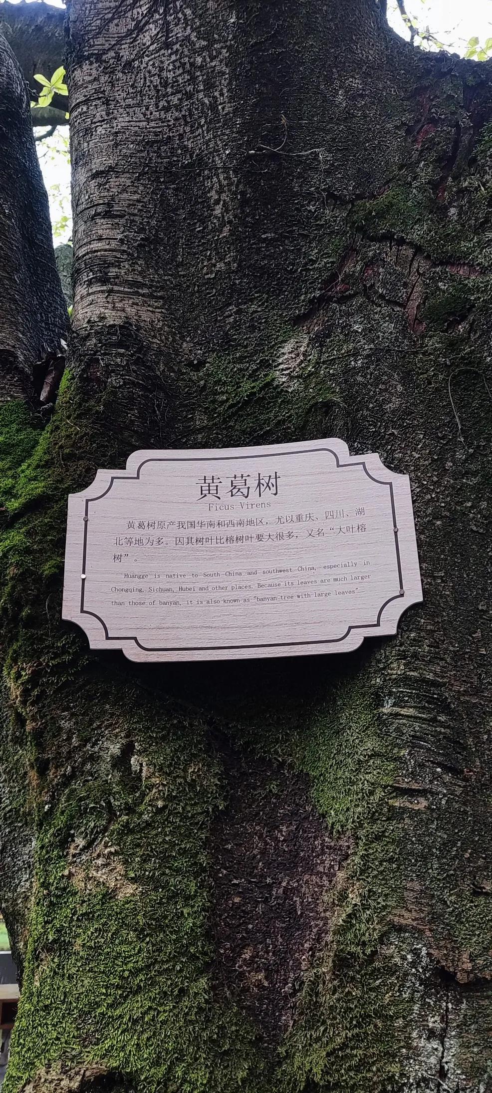 统景温泉视频,统景温泉旅游一日游