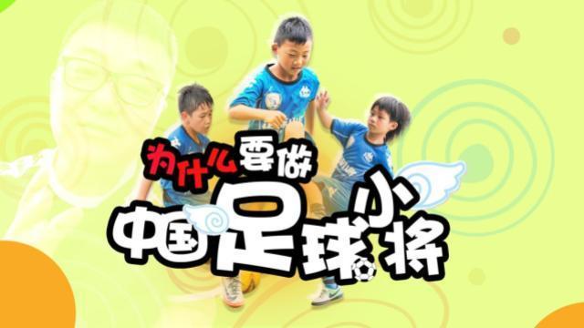 董路流浪小将,流浪小将计划