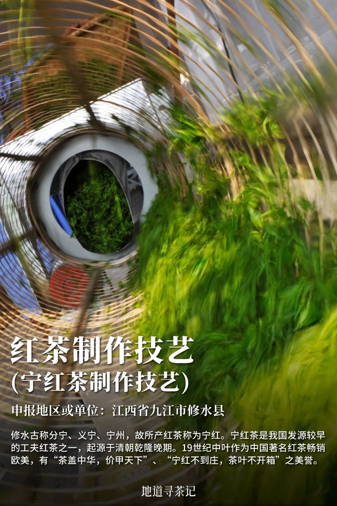 史上最全“中国传统制茶技艺及其相关习俗”展示，建议收藏！