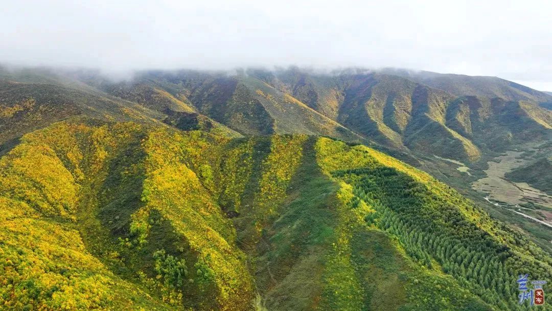 蓬勃古邑品质榆中
