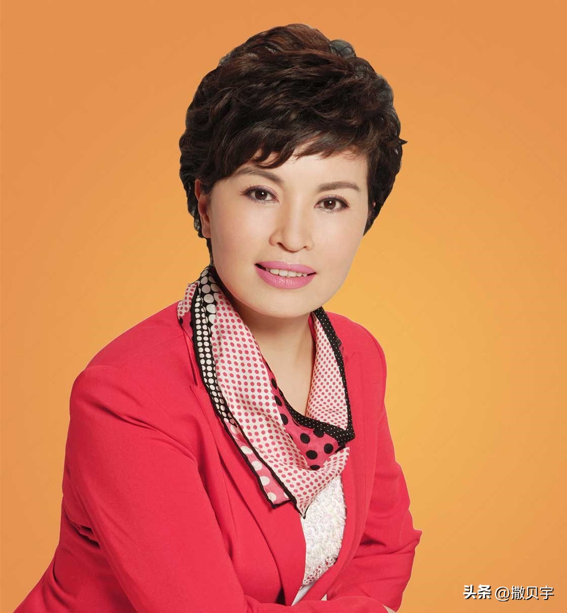 河南走出几位央视主持人,祖籍在河南的12位央视著名主持人