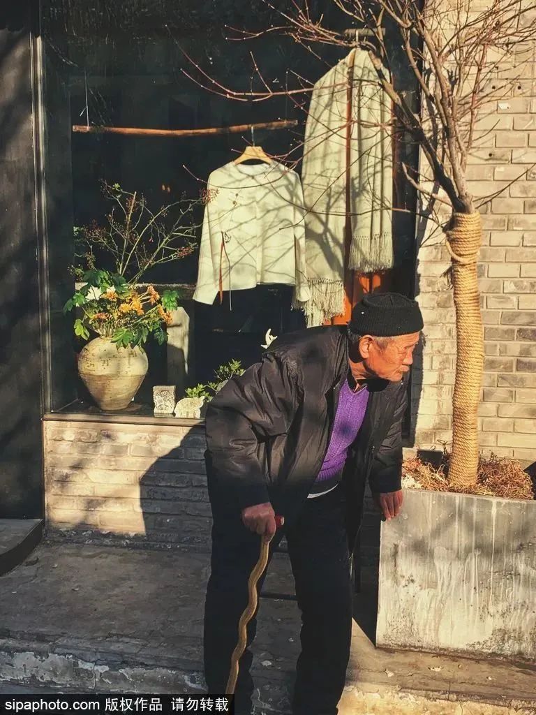 北京胡同游|探寻胡同之根，感受文艺浪漫，寻踪名人故居，尝鲜京味美食