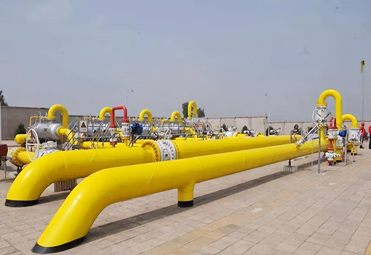 多行不义必自毙2009年,多行不义必自毙事件