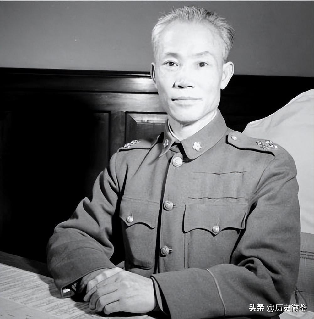 46年叶挺飞机遇难，周恩来坚信是被害，50多年后叶挺之子发文质疑