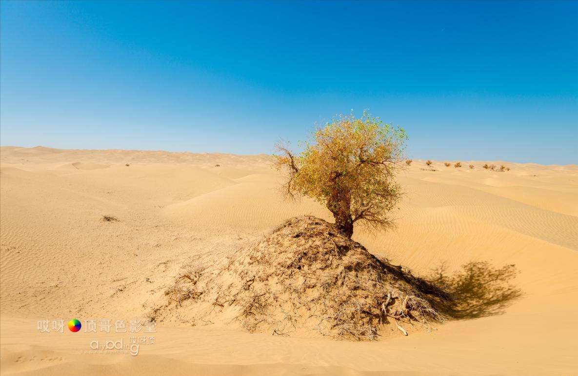 女司机带娃去新疆自驾游,带着女司机自驾游兰州