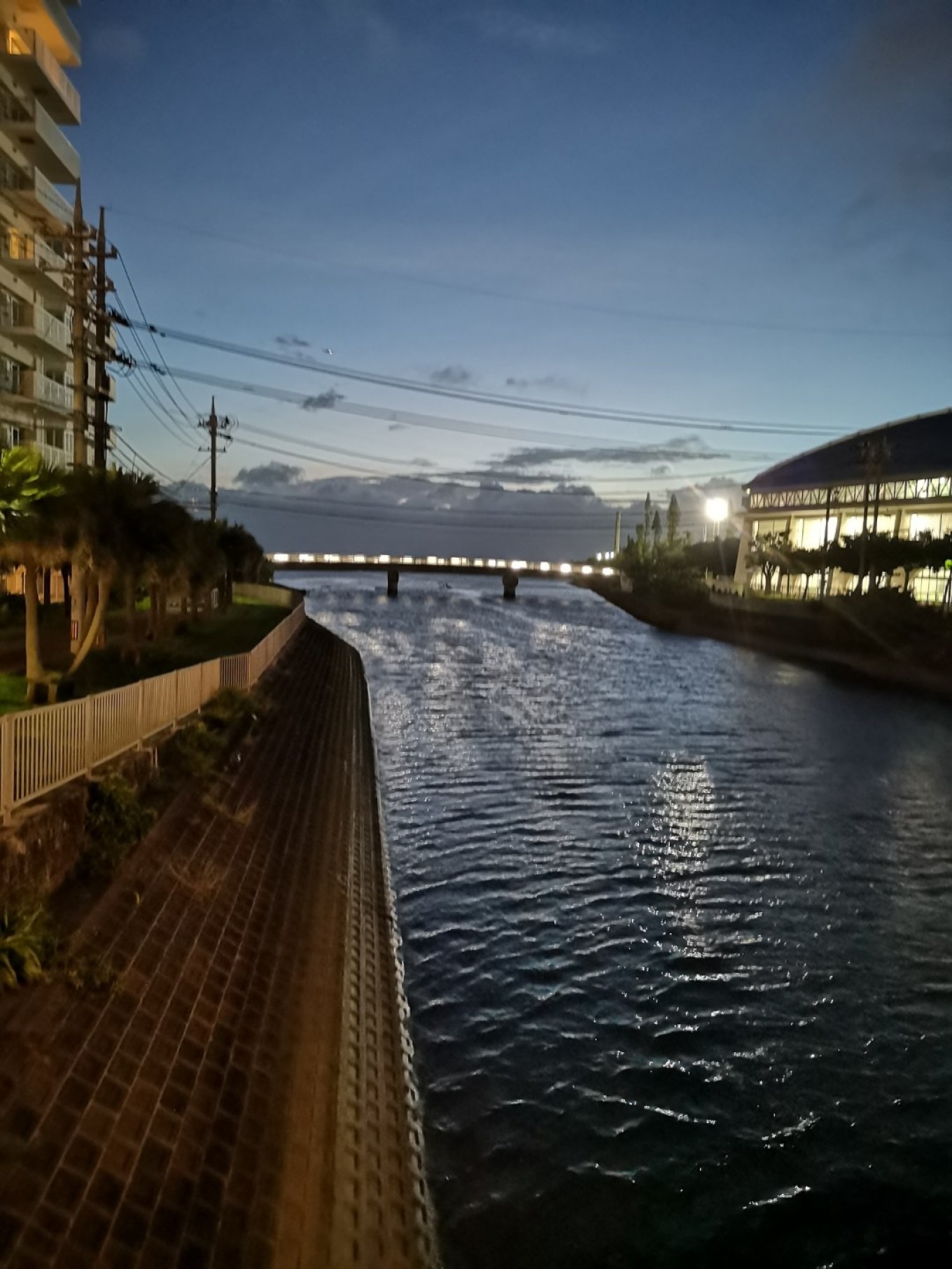 暑期档2019年,2019年暑期档