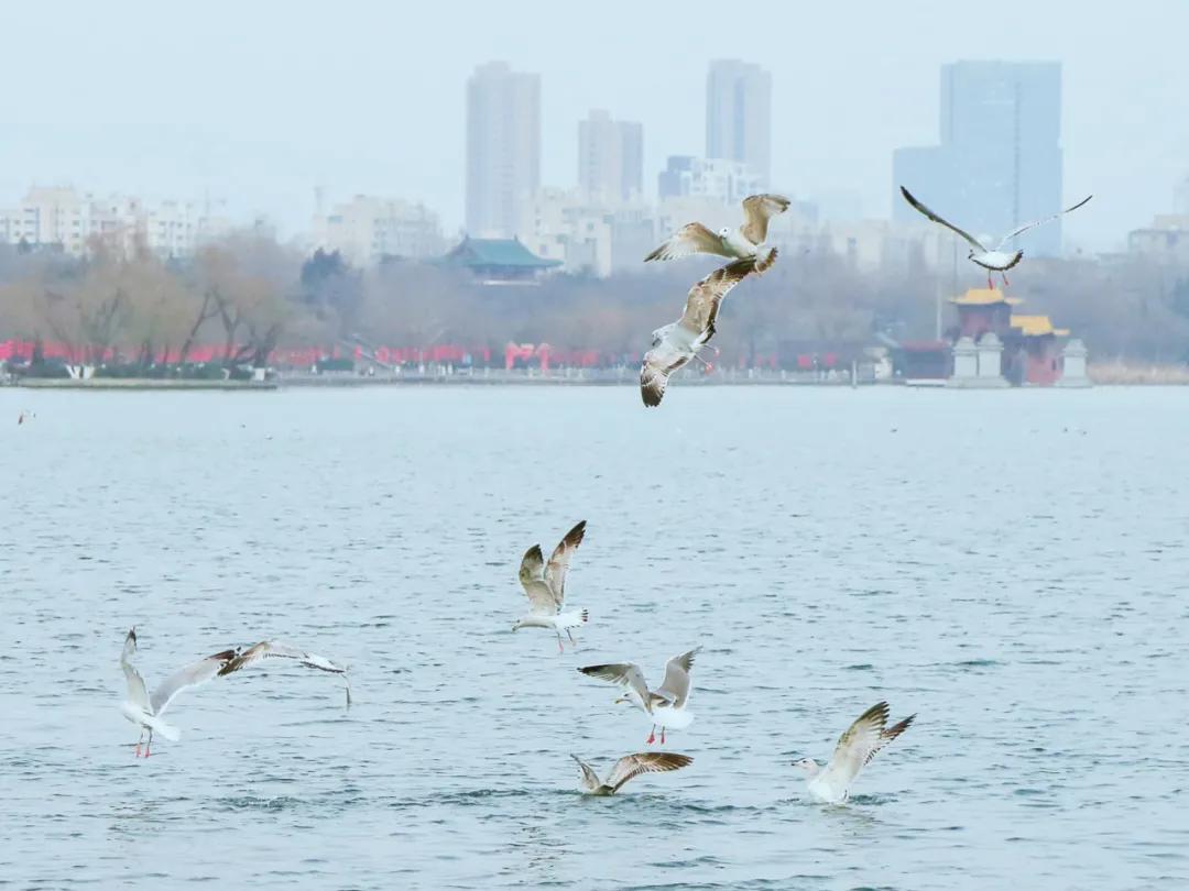 济南夜晚最美网红打卡地,济南周末好去处网红打卡点