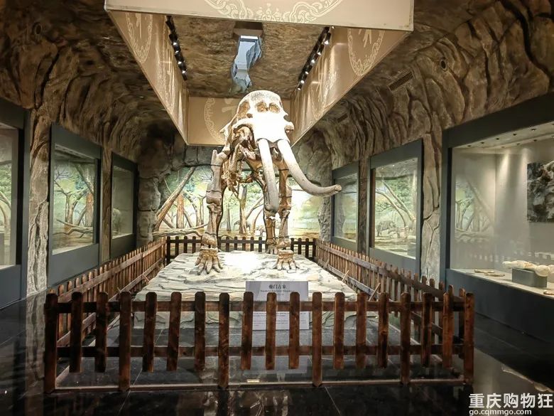 小长假旅游景点大全,夏季周边旅游美食之旅