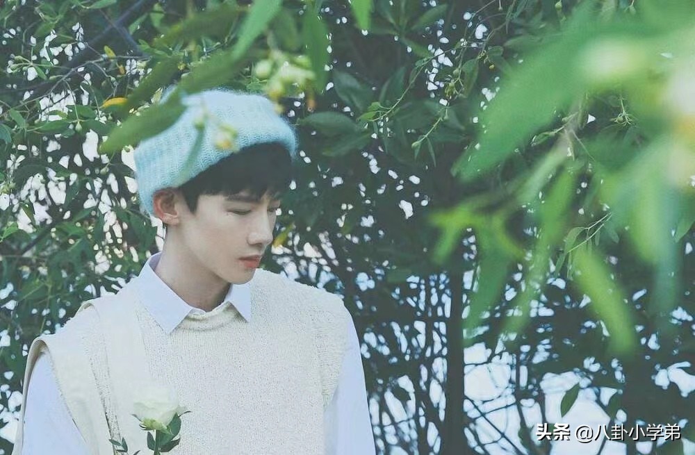 清秀脱俗的男生,清秀的男明星