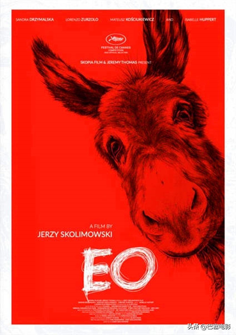 第24届上海国际电影节花絮,精彩看点100个