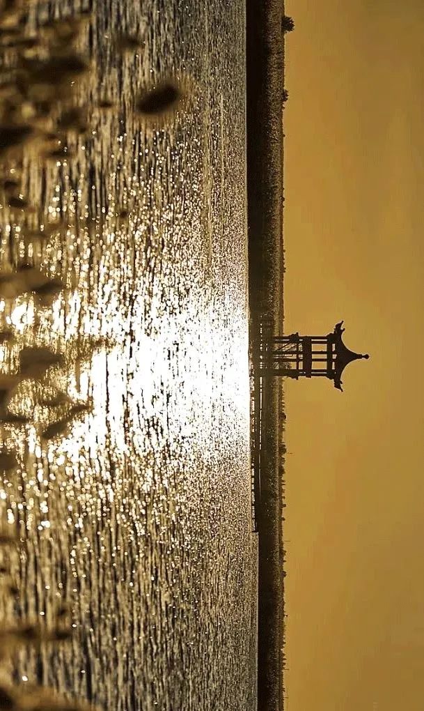 湿地可以开发什么旅游项目,黑龙江旅游必去十大湿地排名