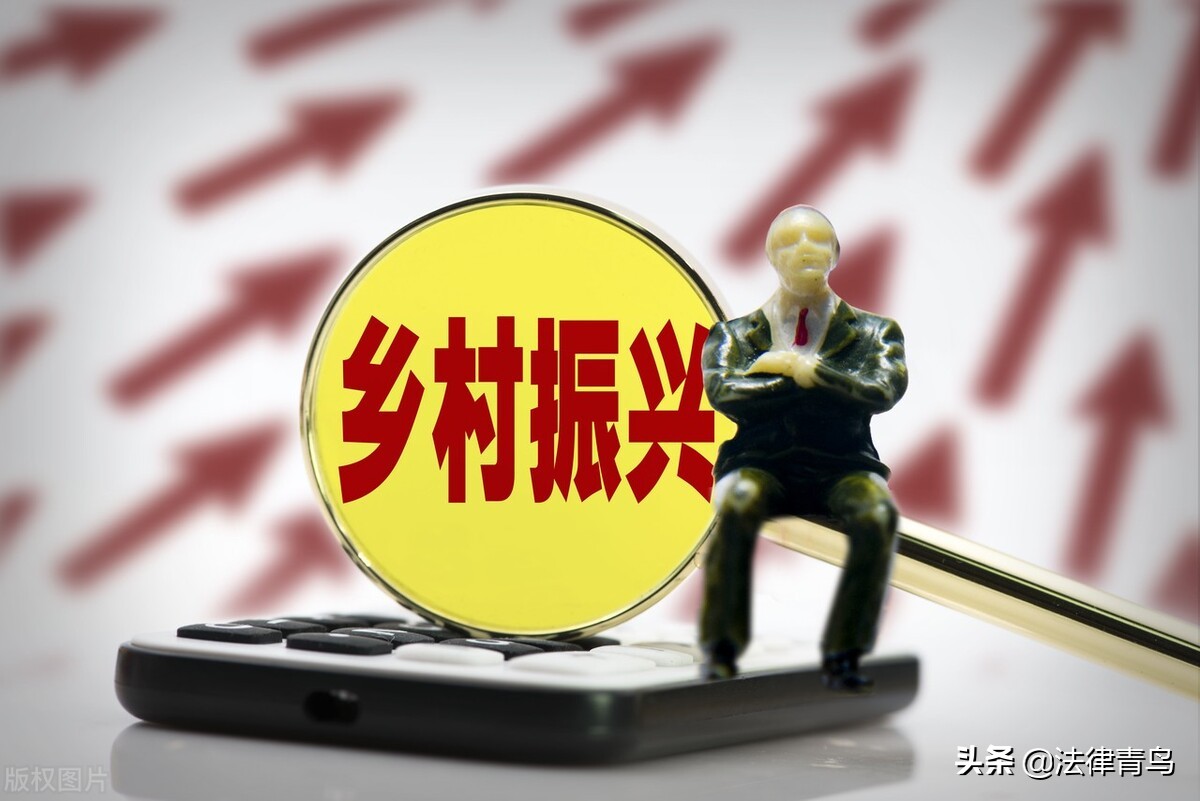 乡村振兴农村合作社该怎么搞,乡村振兴怎样租用农民土地