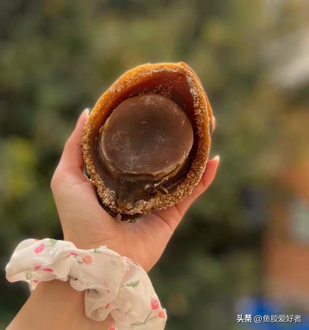 干鲍质量好怎样挑选,干鲍怎么选择