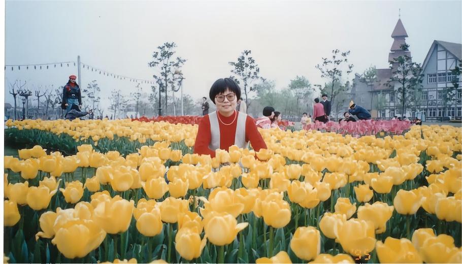 华东上海旅游攻略,华东游记