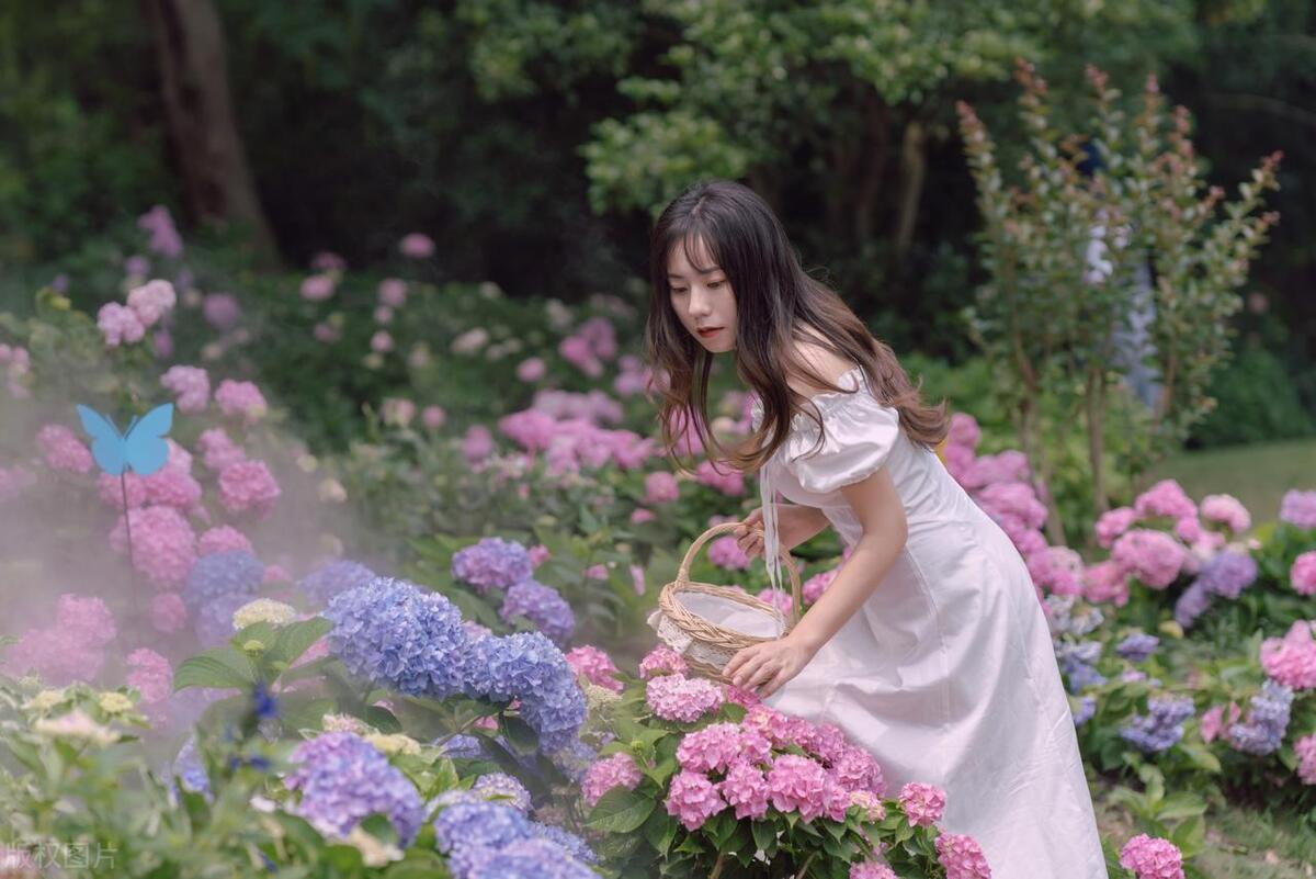 梅州出发4-5天旅游推荐,从广州出发自由行梅州4天攻略