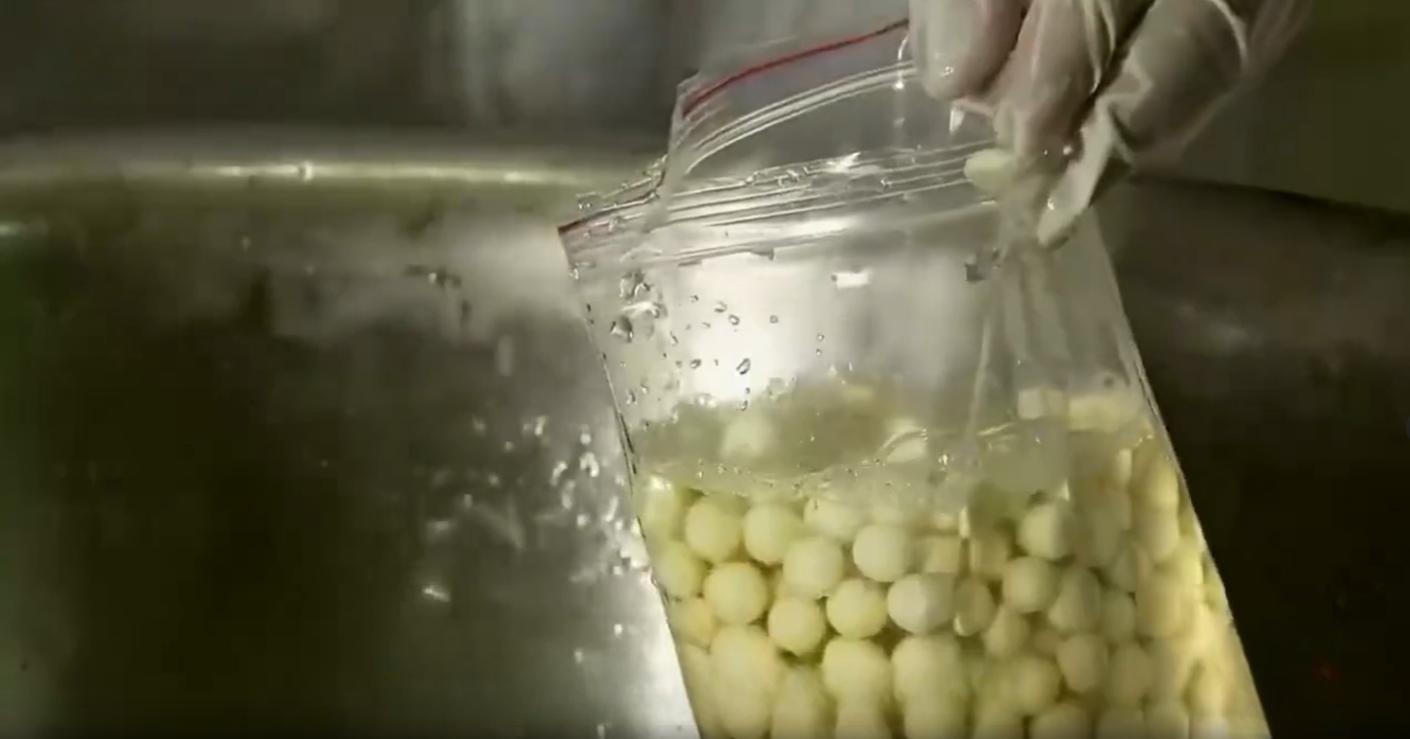 男子负债回村种植水中人参，年销售千万，带动400多户农户增收