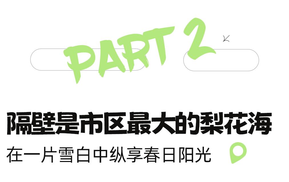 成都市区现实版桃花源记在哪里,成都公交可达的古镇