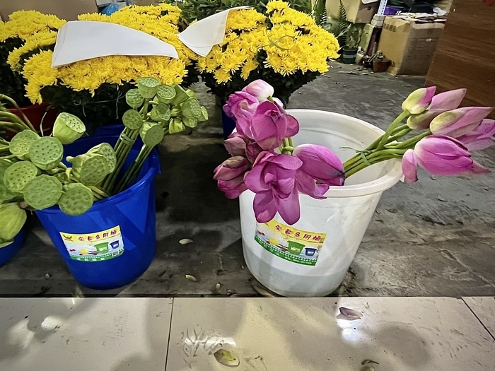 济南人的“夏日专属浪漫”，淡雅荷花手捧花走俏市场