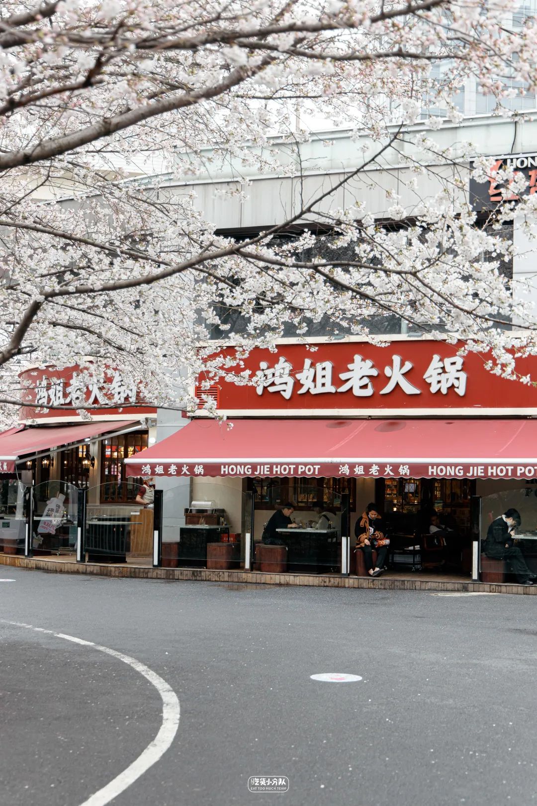 樱花最佳季节,樱花最盛开的时候