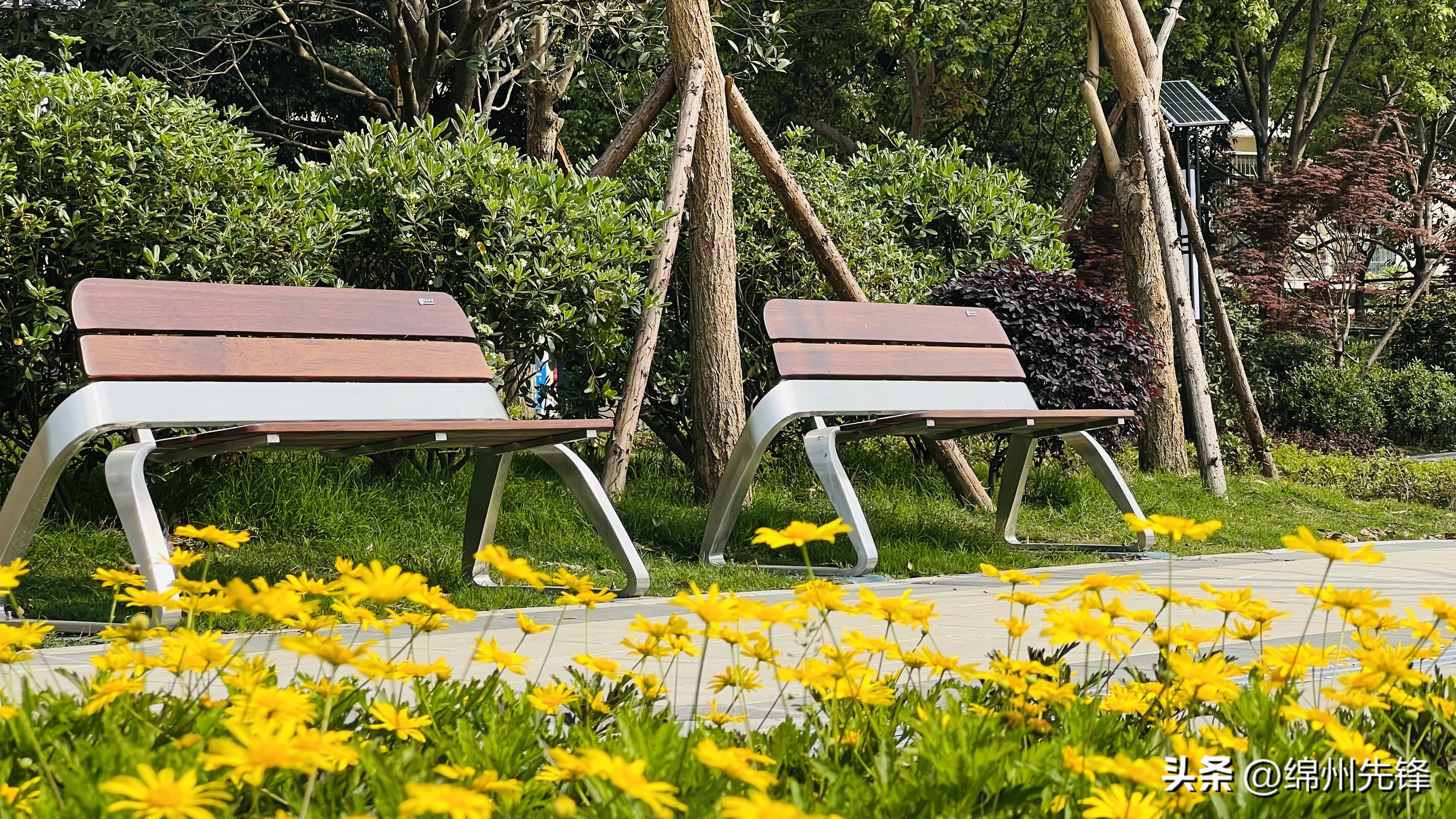 绵阳市物业管理条例2023版,绵阳市物业管理条例