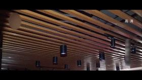 2020年一女子面试网红，结果被骗去整容，甚至还差点被骗进夜总会