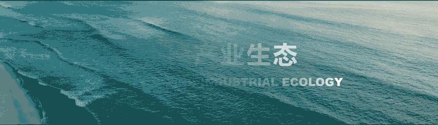 李洋君户外,李洋君露营