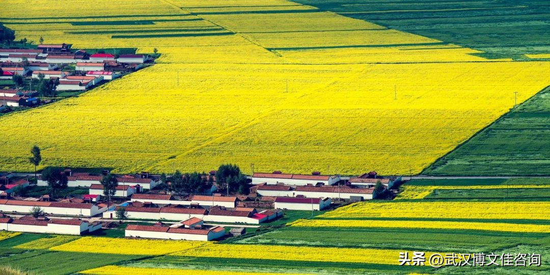 2019中央预算内投资7大领域,2022中央预算内投资建议