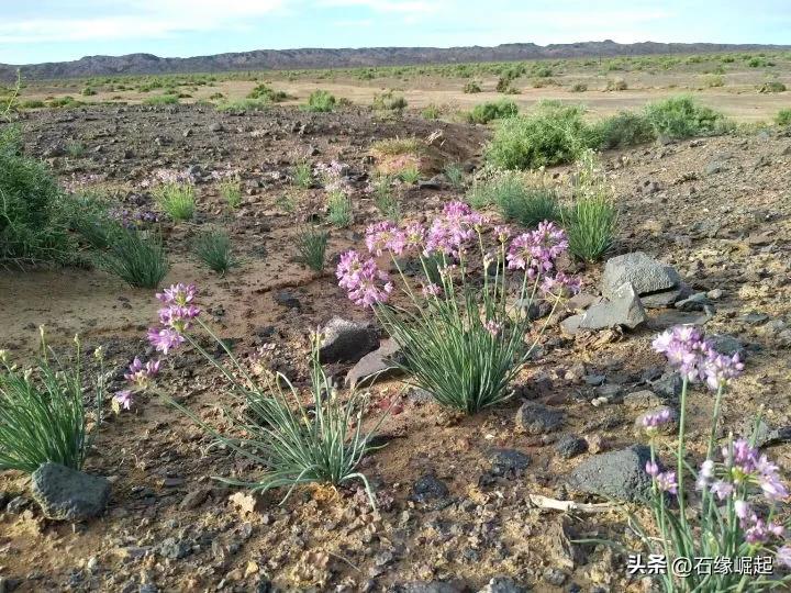 一块小小的石头也能让你这么开心 (一块小小的石头怎么敢这么滑)
