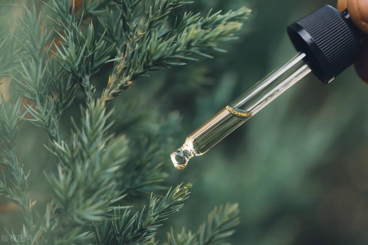 酒店专用加香机的价格