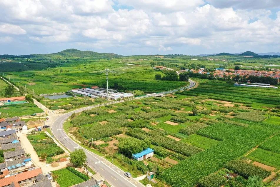 威海哪个村最美,威海十大美景乡村