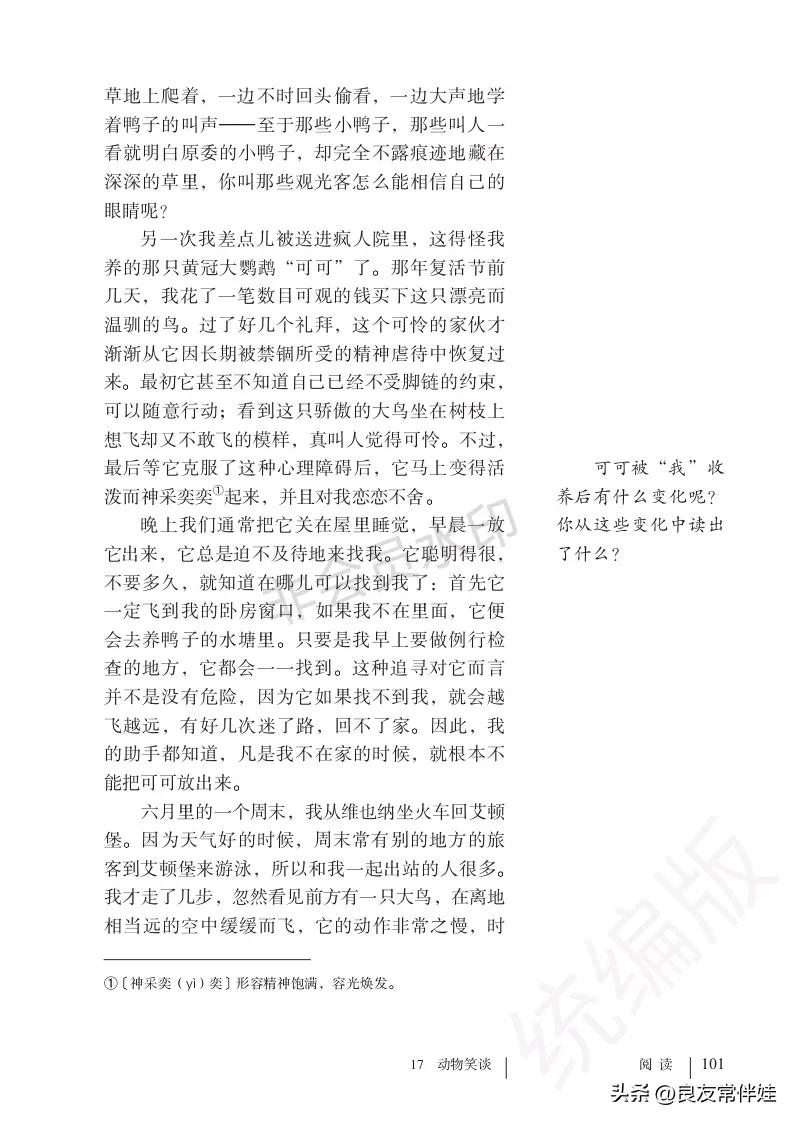 七年级语文课本电子完整版,七年级上册语文教材基础知识手册