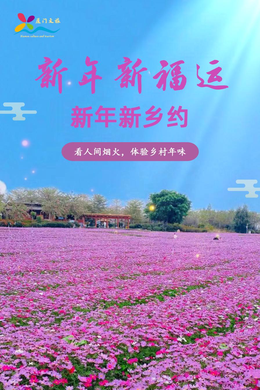 鼓浪屿可以当天预订船票攻略 (鼓浪屿还有免费的船票吗)