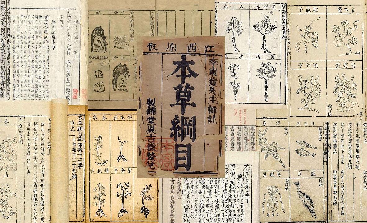 明朝科学理论,明朝的科学观