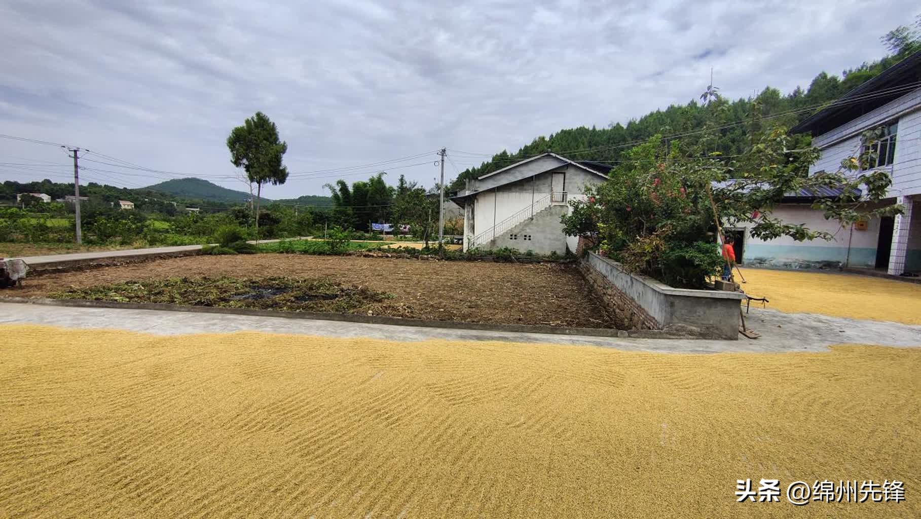 绵阳特色乡村振兴之路,绵阳乡村振兴示范区