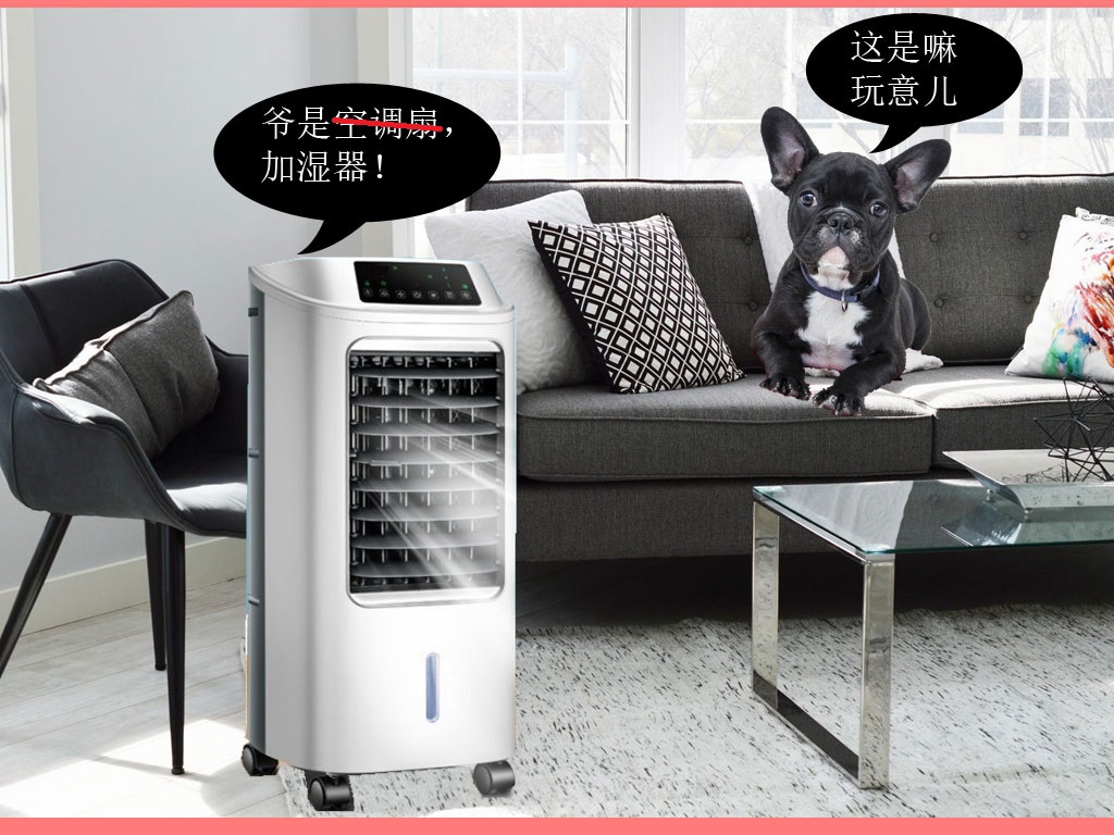 住出租屋有必要买锅吗,住出租屋要买冰箱吗