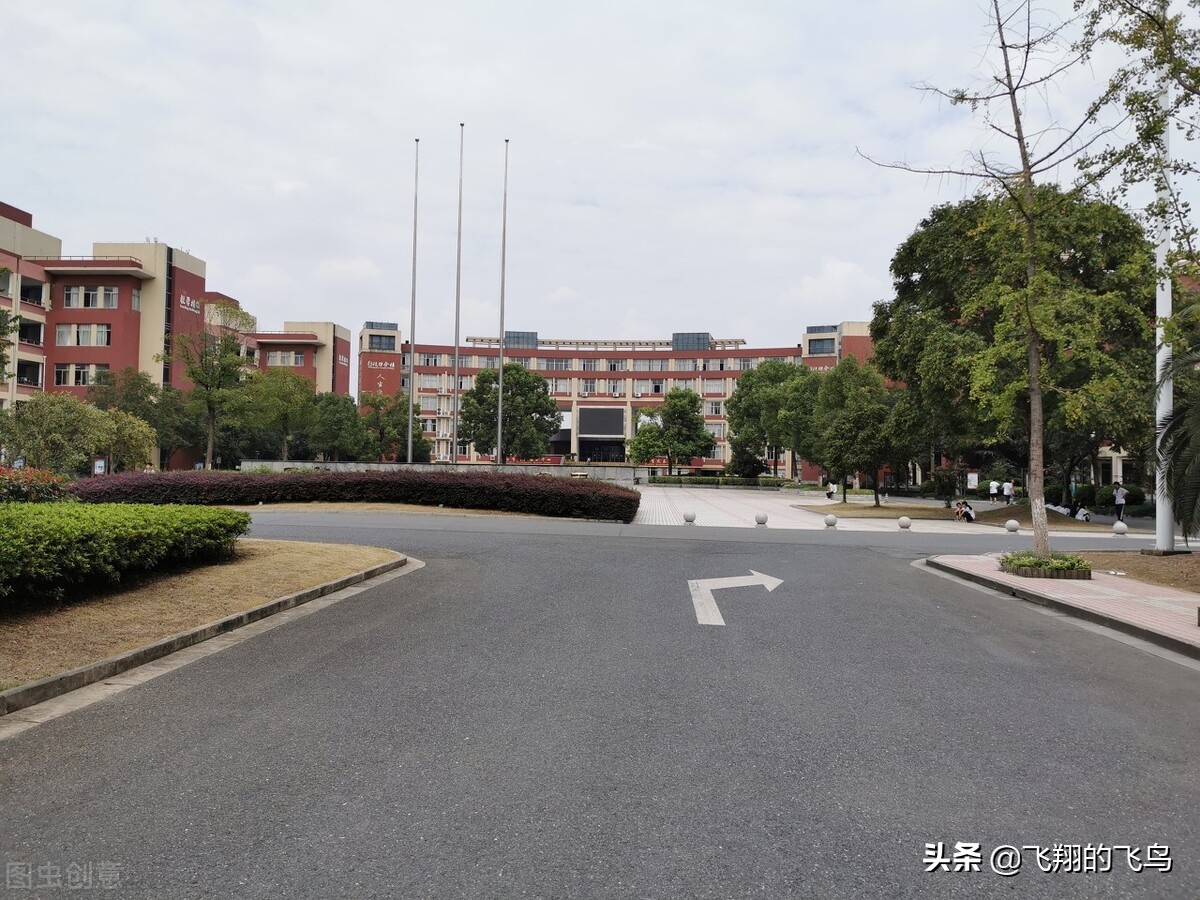 网文作者扑街作者的日常,写小说的扑街作者