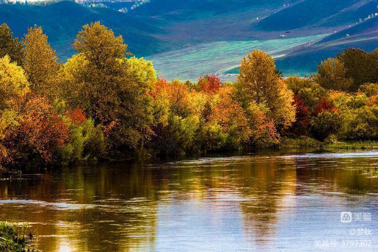 秋风、秋雨、秋韵山东老干部之家诗词雅阁第十二期