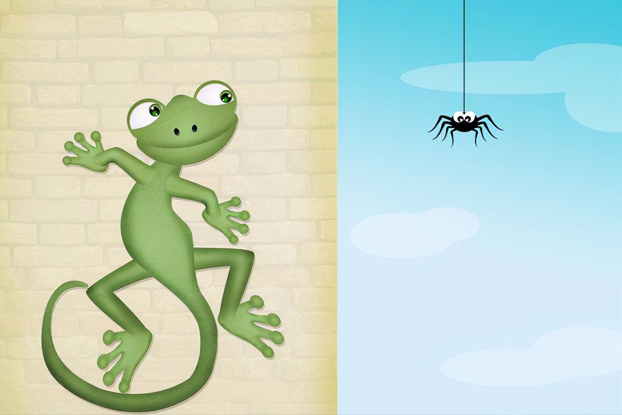 家里进壁虎了要不要把它打下来,家里进了壁虎怎么驱赶